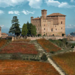 The Road to Barolo Wines