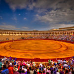 The Matador Experience